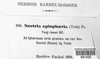 Nectria episphaeria image